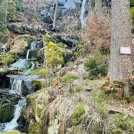 "Glueck Auf" Lichtdurchflutete Schicke Ferienwohnung In Τσβικάου Εξωτερικό φωτογραφία